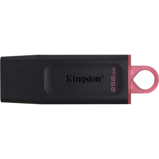 [18840] KINGSTON EXODIA DATATRAVELER 256GB USB 3.2 FLASH Память (RAM) DTX/256GB